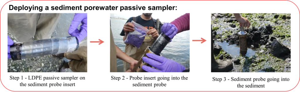Butter Clam Sampling Process Diagram